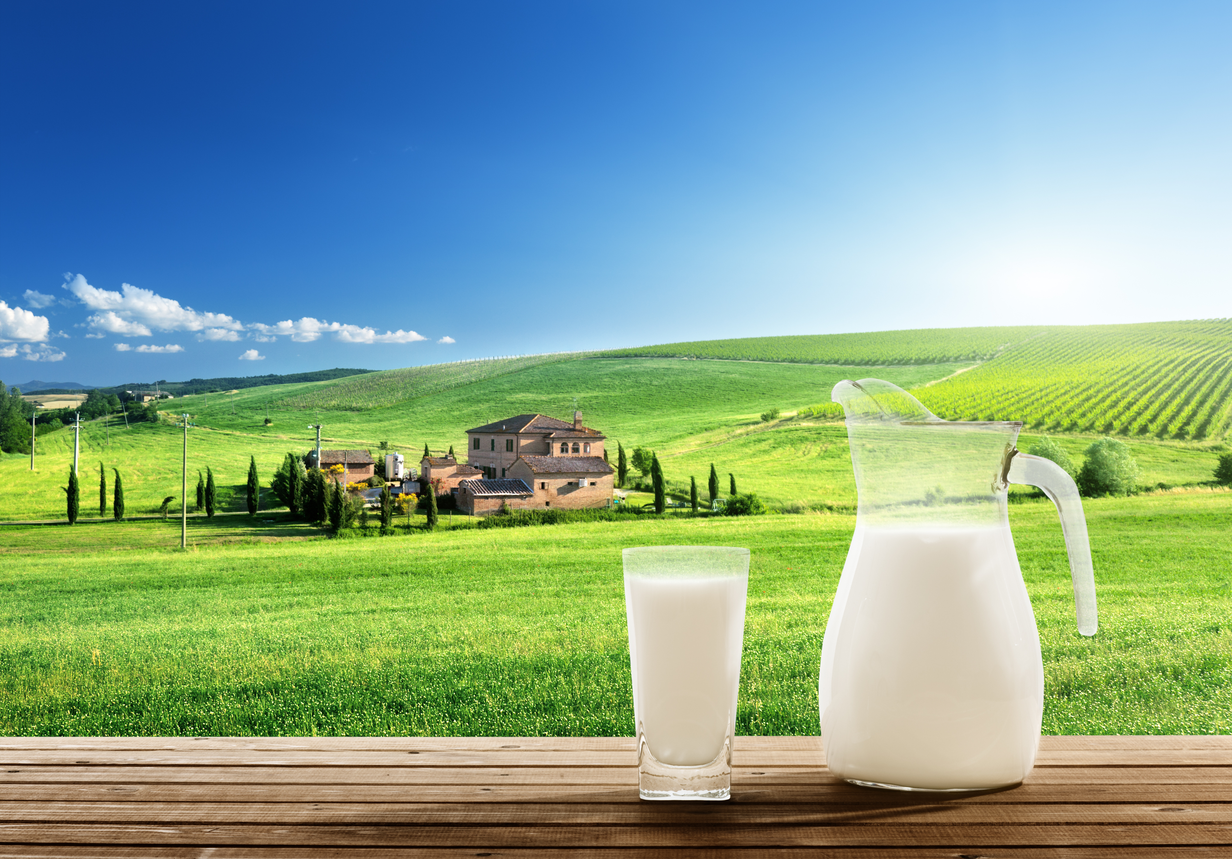 MILCHPRODUKTE